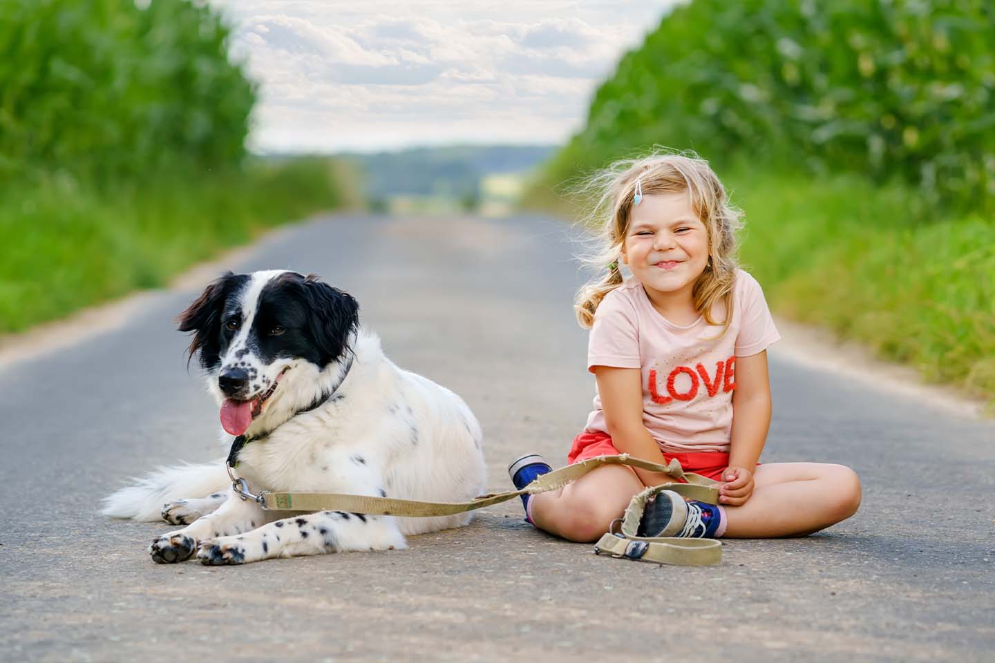 College Road Animal Hospital